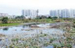 Centre promises funds to revive B’luru lakes